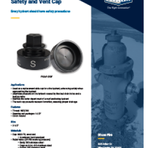 Safety and Vent Cap